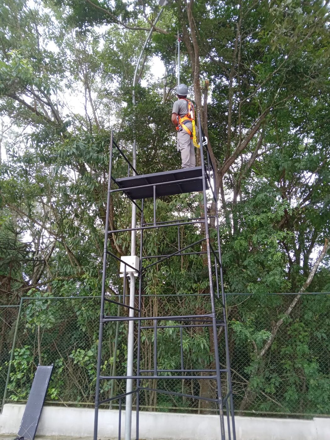 Corte de árvore em Caieiras: resultado do serviço