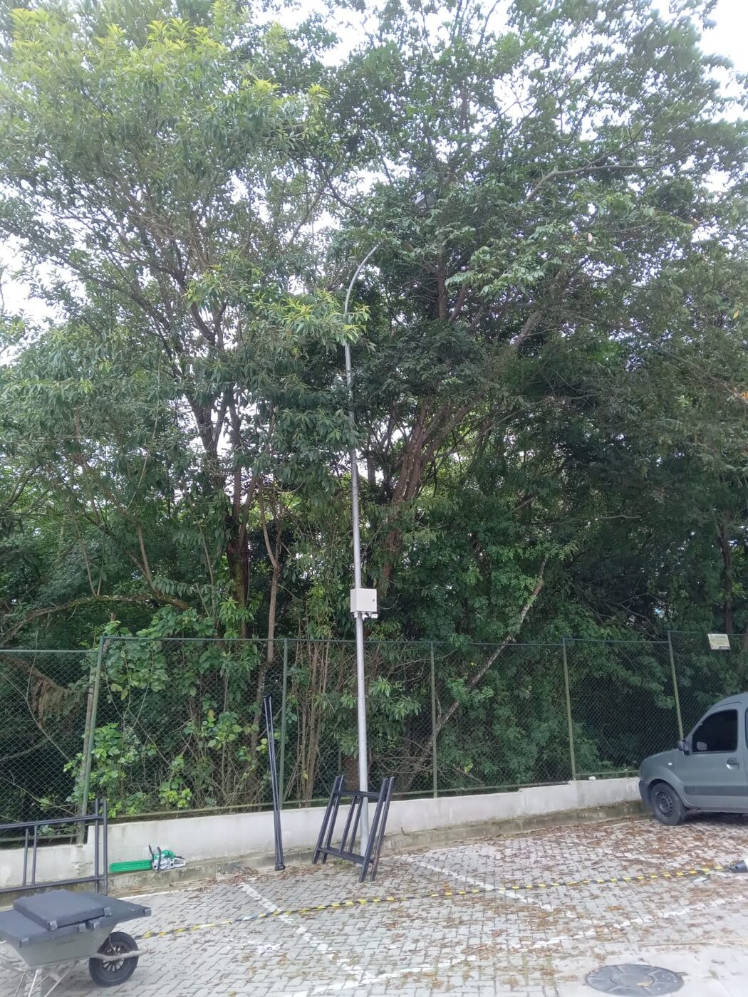 Corte de grama em Perdizes: resultado do serviço
