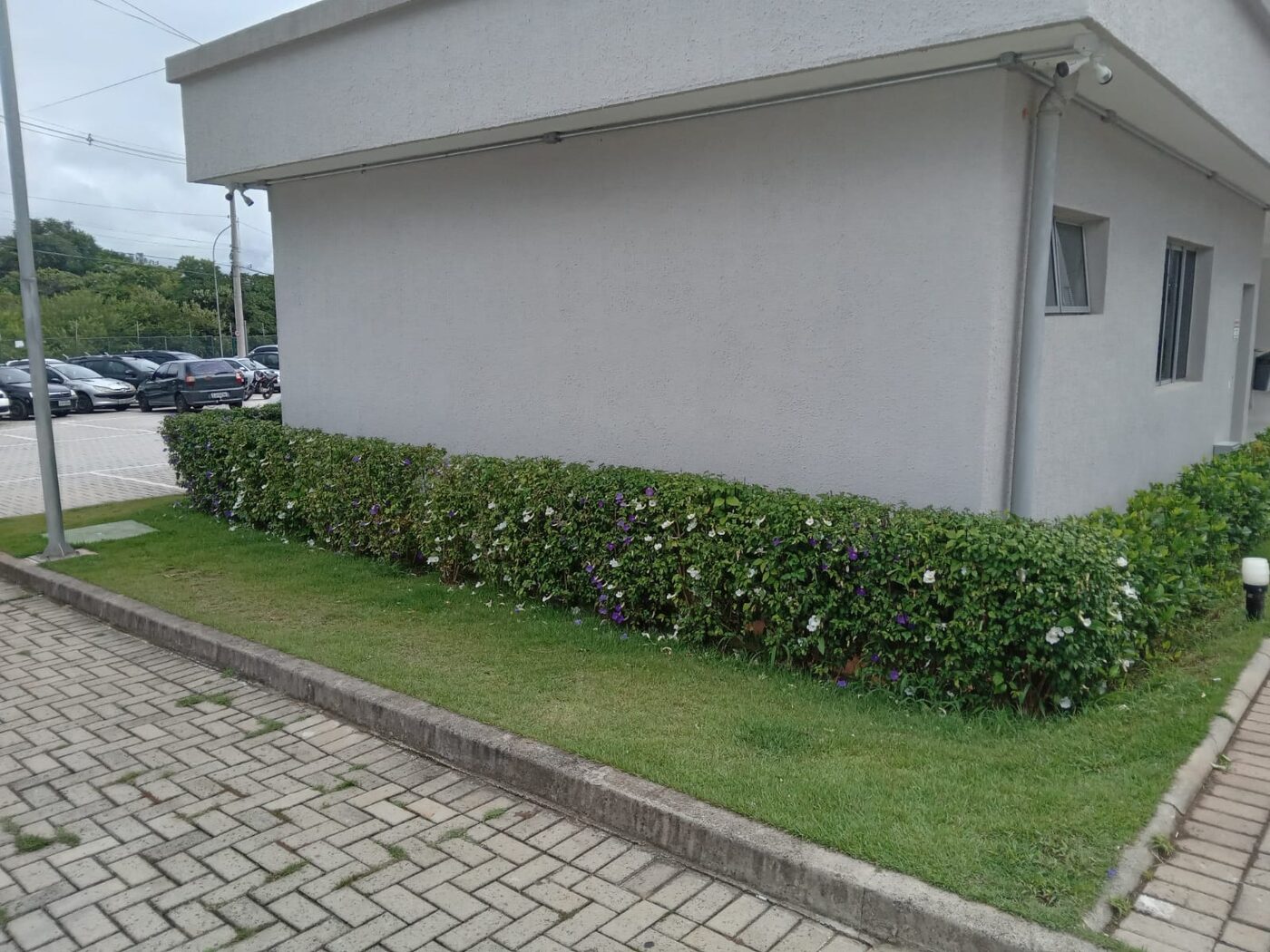 Detalhe do acabamento de corte de grama em Perdizes