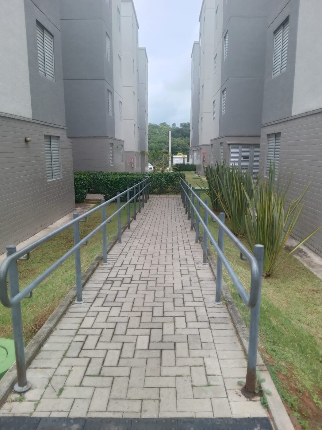 Corte de grama na Saúde em imóvel residencial