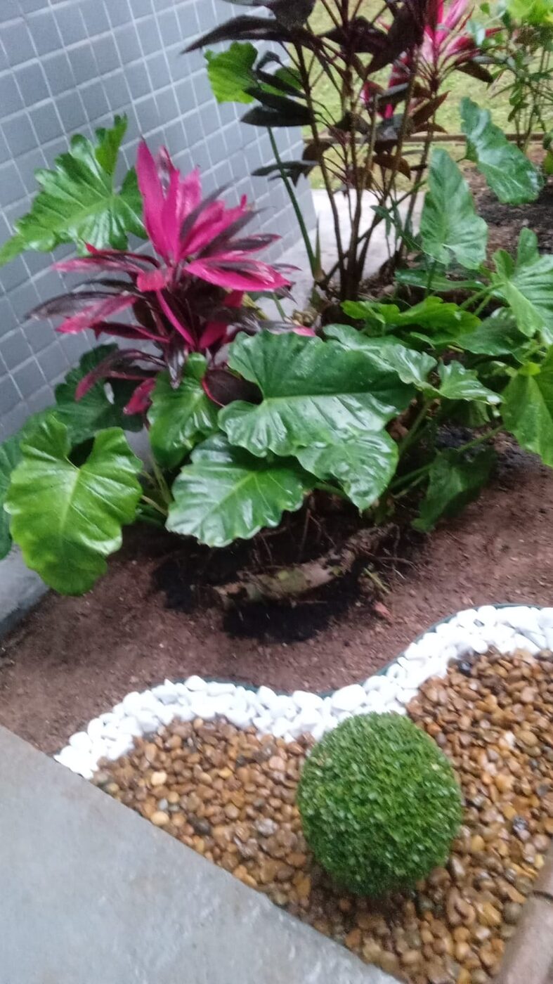 Equipe fazendo grama-amendoim em Vargem Grande Paulista