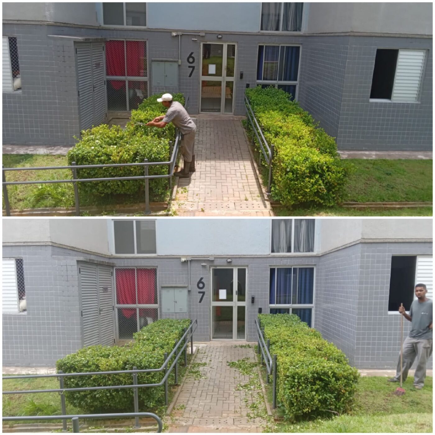 Equipe fazendo jardineiro em Alphaville