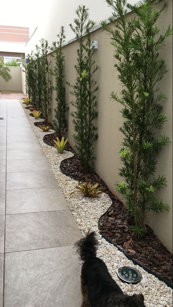 Jardineiro no Campo Belo em imóvel residencial