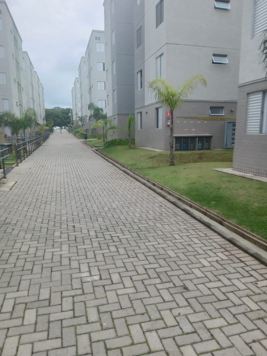 Limpeza de mato em Embu-Guaçu: resultado do serviço