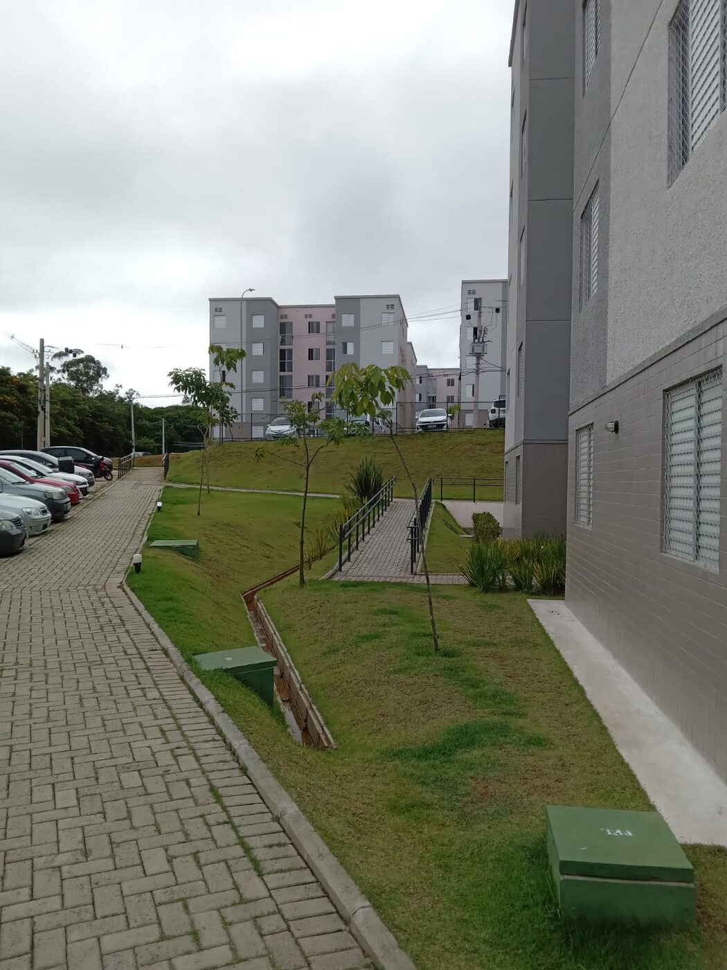 Poda de cerca-viva em Itapecerica da Serra em imóvel residencial