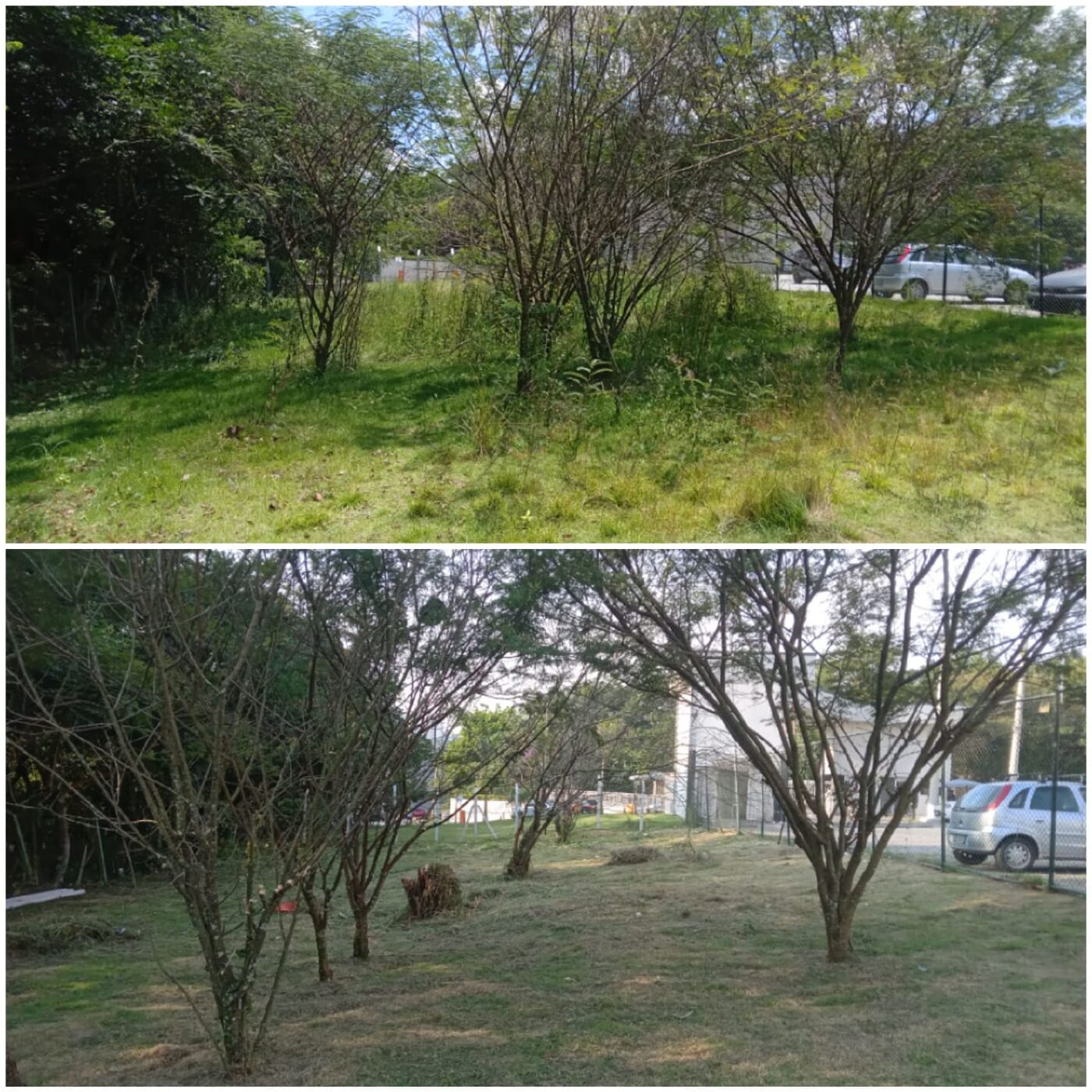 Poda de cerca-viva no Jardim Leonor em imóvel residencial