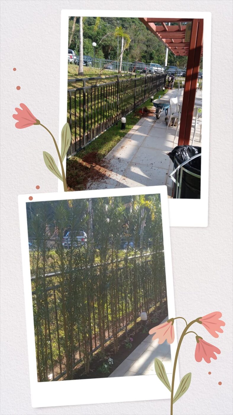 Detalhe do acabamento de projeto de paisagismo em Barueri
