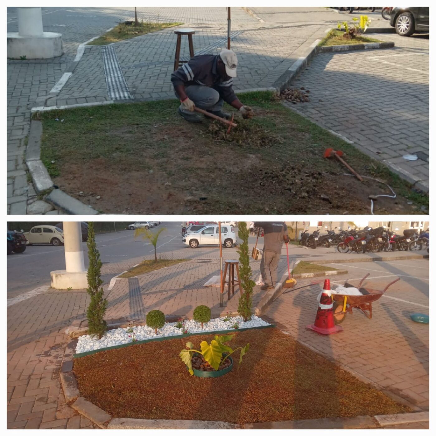 Equipe fazendo reforma de jardim em Perdizes