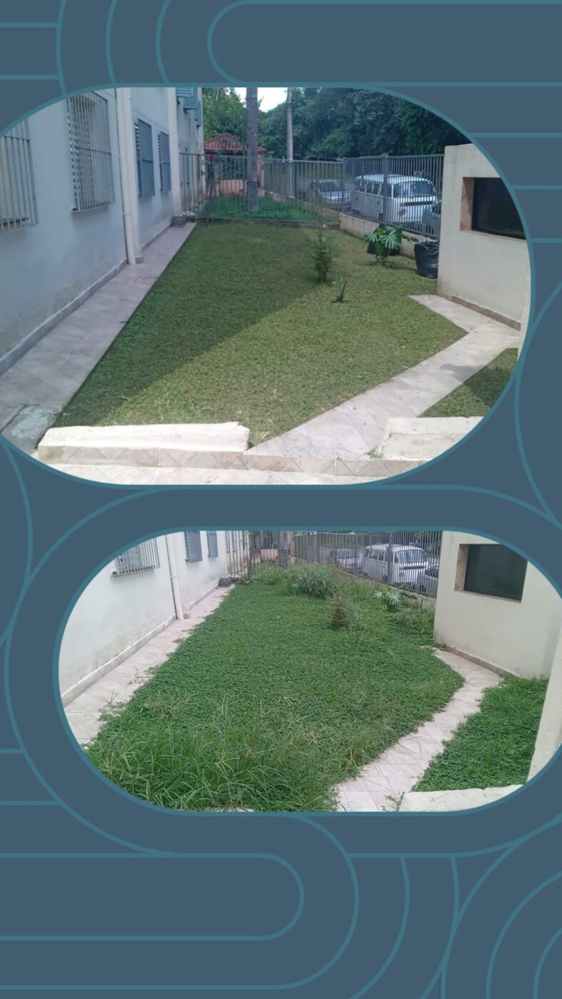 Equipe fazendo reforma de jardim em Tamboré