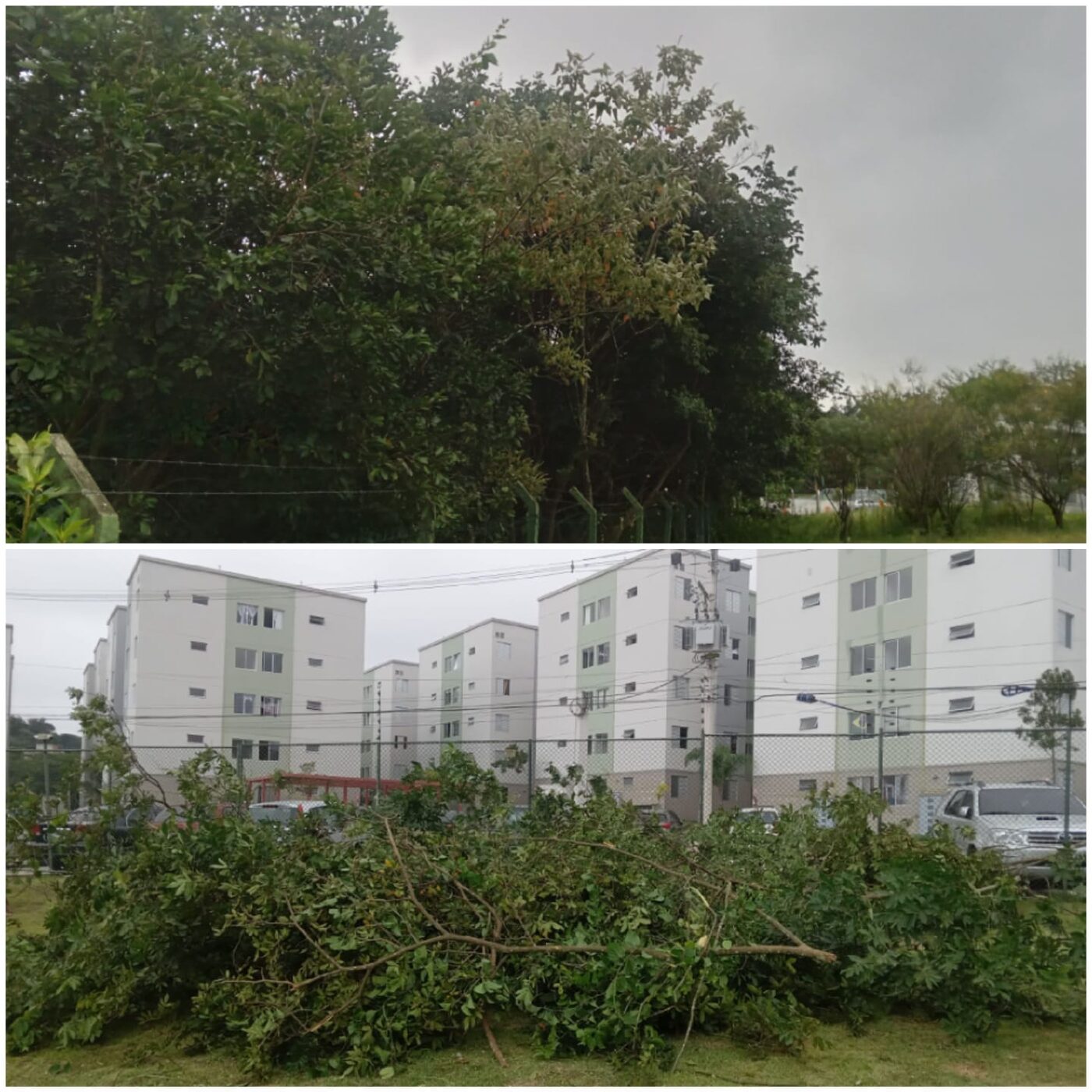 Serviço de jardinagem em Franco da Rocha: resultado do serviço