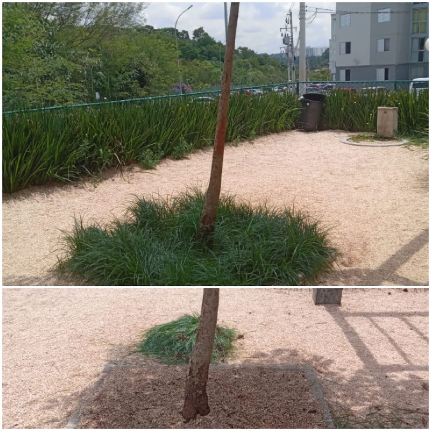Equipe fazendo serviço de jardinagem no Portal do Morumbi